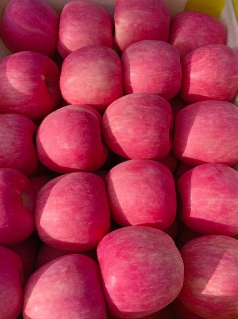 Fresh Red Fuji Apple - Image 2