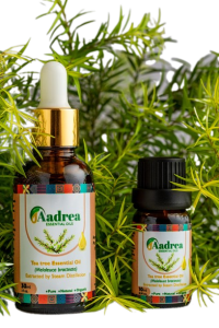 Tea tree essential oil - 100% pure organic steam distilled oil - Image 2