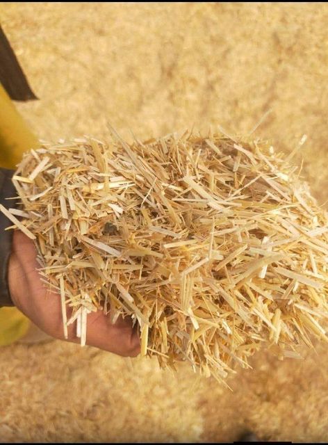 Wheat straw Origin Pakistan Form Compressed Bales Additional Materials Offered Yellow Corn, Broken Rice, Rice - Image 3