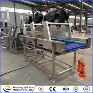 Fruit and Vegetable Processing Fresh Tomato Bubble Cleaning Washing Machine - Image 3