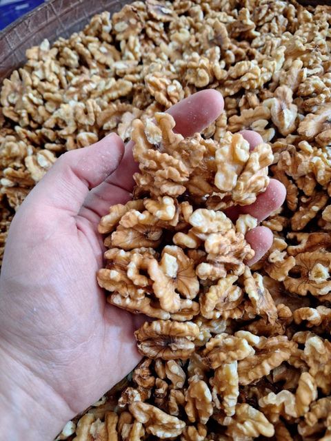 Hand Selected Light Walnut Kernel Bulk Supplier High Oil Premium Export Quality - Image 5