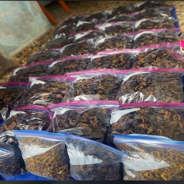 Export Grade Whole Dried Land Snails No Additives or Preservatives for Cooking and Traditional Dishes - Image 3