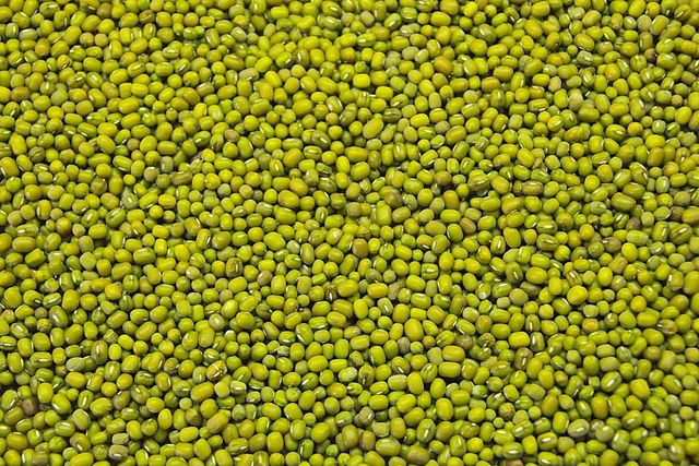 High Quality Green Mung Beans Export Grade Whole Moong Bulk Supply Available - Image 4