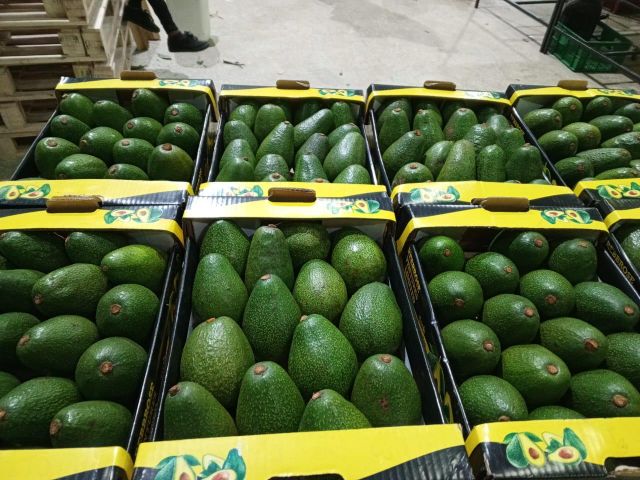Hass Avocados - Image 2
