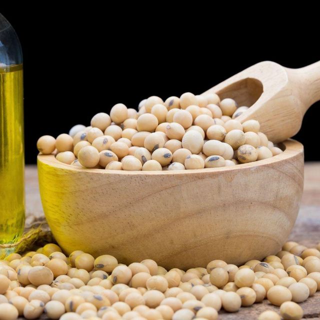 Golden Yellow Soybean Seeds Supplied With Advanced Cleaning Process For Global Import Markets - Image 3