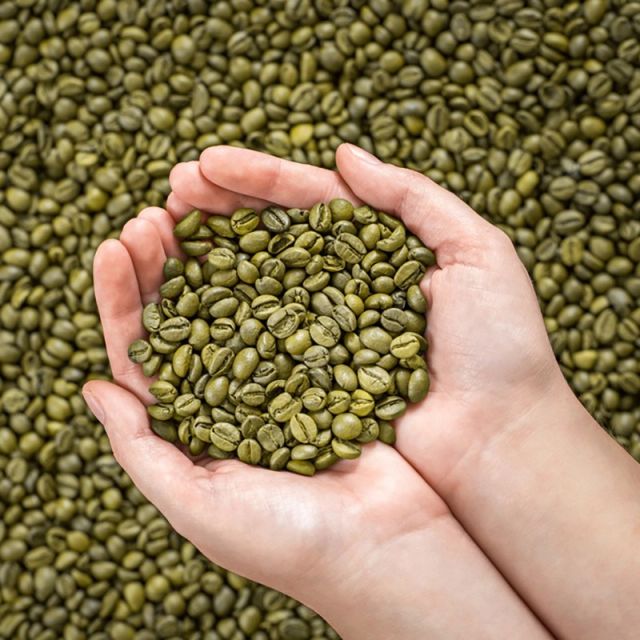 Green Coffee Beans Origin Other Features Organic Grade First class Taste Subtly Bitter Form Raw Coffee Seeds Product Type Beverages - Image 1