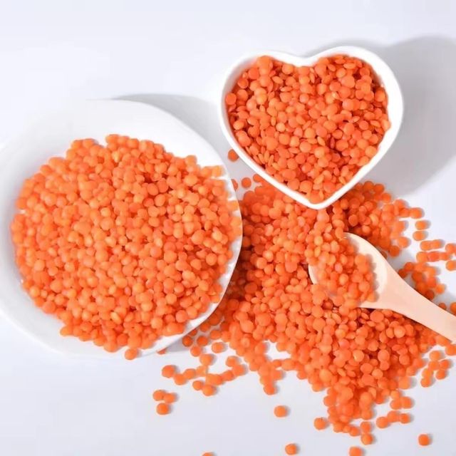 High Protein Plant Based Dried Red Lentils Product With Advanced Cleaning Methods And Export Ready Bags - Image 1