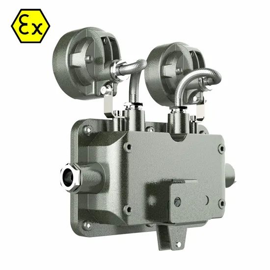 LED Explosion Proof Twin Head Emergency Exit Light for Marine Oil Field - Image 5