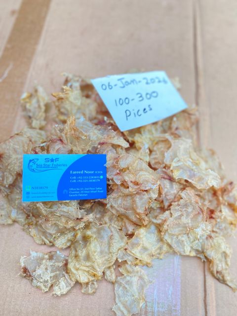 Cat Fish Maw ( Dry ) Style Open & Close Weight (kg) 20 kgs box Certification ISO 22000 Key Benefit Rich Collagen - Image 4