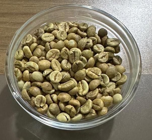 Robusta Coffee Beans – product photo 2, product detail gallery