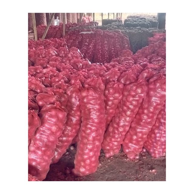 Best Quality Fresh Organic Nutritional And Natural Fresh Red Onion At Wholesale Buy Now at Low Price - Image 5