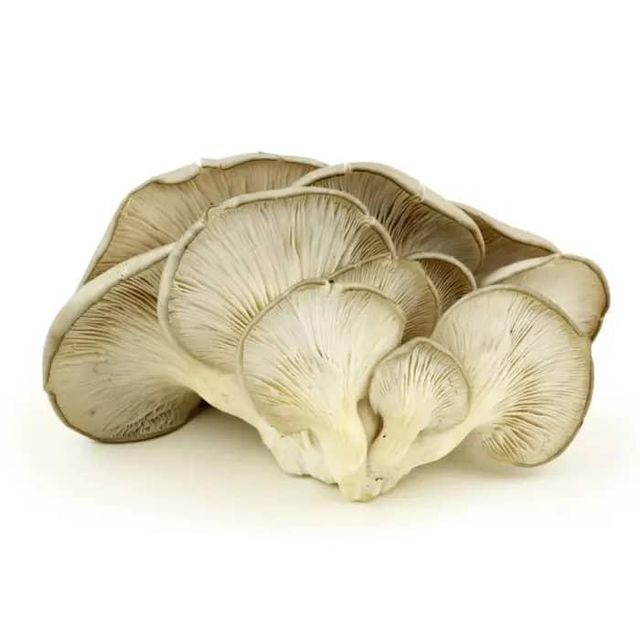Sinocharm Cultivation Mushroom Iqf Frozen White Mushroom Champignon Whole Oem/Bulk Bag - Image 3