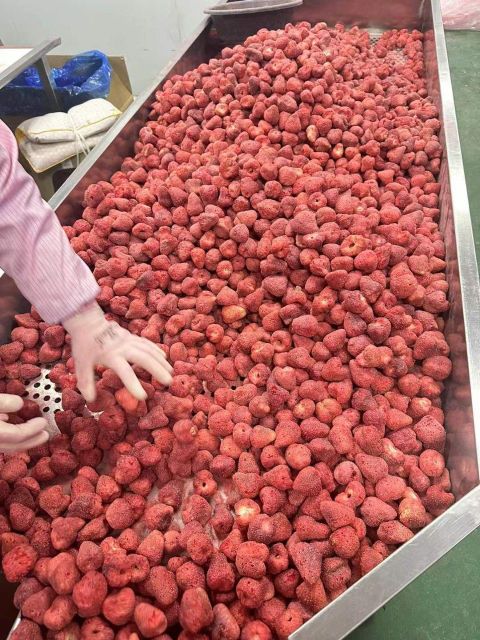 freeze dried strawberry fruits Color Vibrant Packaging bag Texture Crunchy Additives No Additives Type freeze dried fruits - Image 5