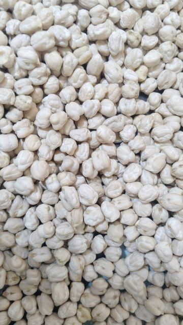 Lentils & Pulses - Image 4