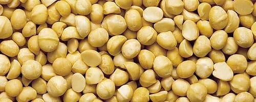 Macadamia nuts - Image 1