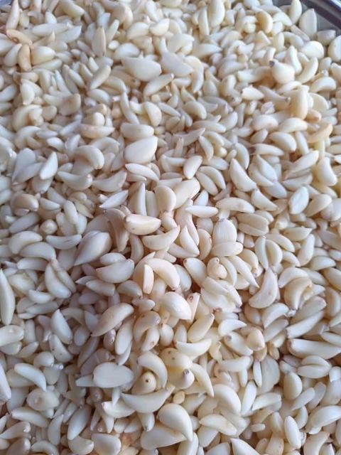 Fresh Garlic Bulbs – Premium Quality Wholesale & Retail Supply - Image 3