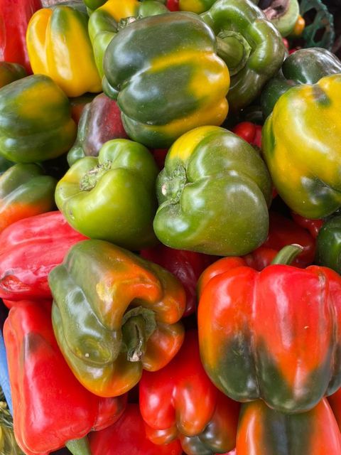 green pepper - Image 2