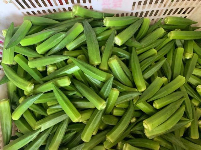 Frozen Okra Whole for Supermarket and Catering Supply HACCP BRC 1kg 2.5kg 10kg Pack - Image 3