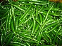Green Chilli - Image 2