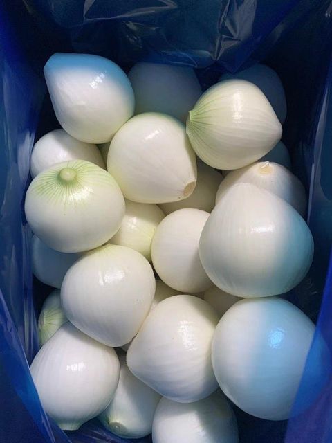 Vacuum Packed Fresh Peeled Onion for Cooking and Food Processing - Image 4