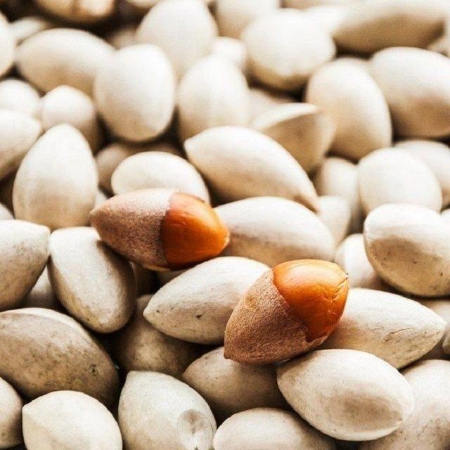 High Germination Top Quality Best Selling Ginkgo Nut Seeds As Food Selling Ginkgo Nuts Fresh Raw Ginkgo Nuts BULK - Image 3