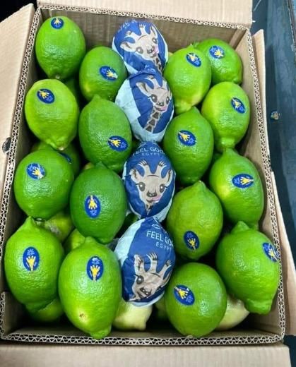 Green lemon. - Image 1