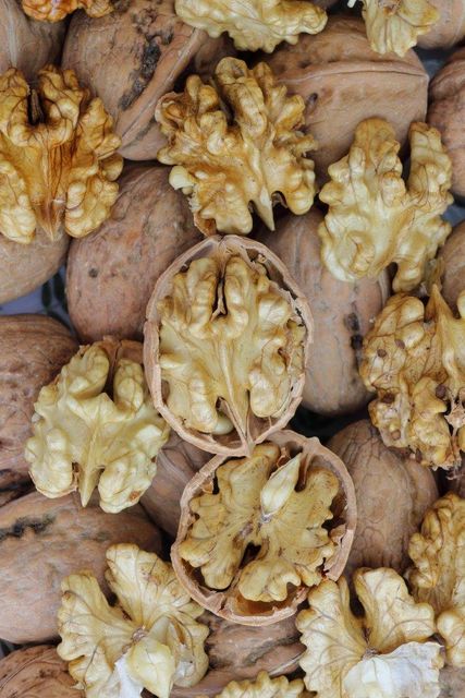Iranian Chandler Walnut Kernels - Grade 1 - Premium Quality - Export Quality - Natural - Image 3
