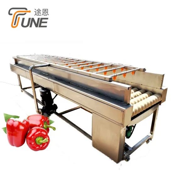 Multifunctional Fruit Vegetable Washing and Drying Machines Power 1.5KW Weight 800kg Trademark TUNE Warranty 1 Year Model NO. - Image 3
