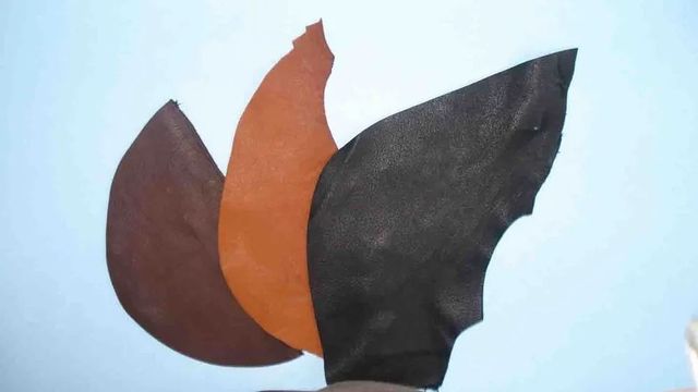 Raw Leather Processing Method Wetblue Tanning Source Material Animals Head And Back Byproduct Use Animal Glue And - Image 1
