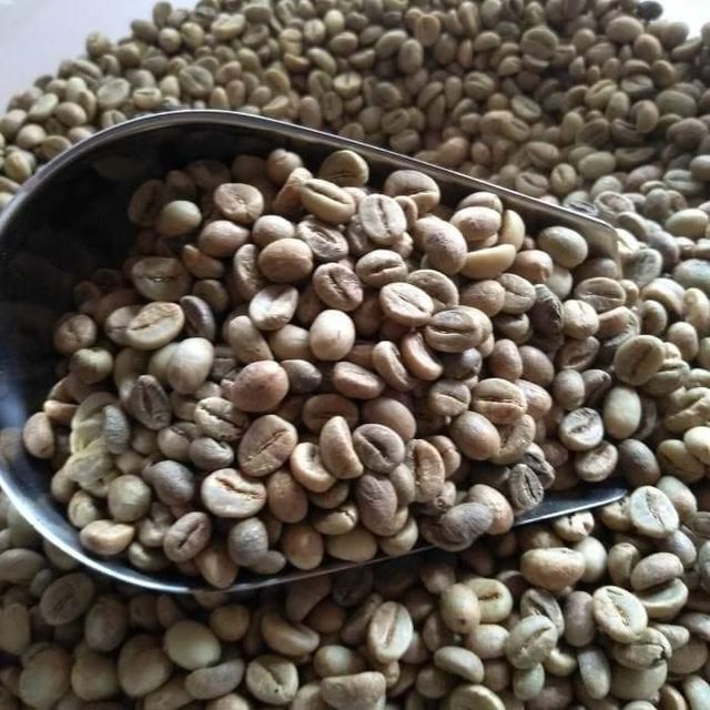 Green Coffee bean – product photo 1, product detail gallery