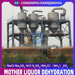 Forced Circulation Triple-Effect Evaporation Freeze Crystallization Equipment - Image 2