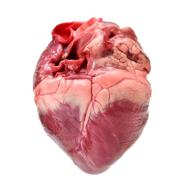 Frozen Pork Heart Fresh Packed Frozen Pork Heart Premium Quality For Bulk Orders Direct From Supplier - Image 3