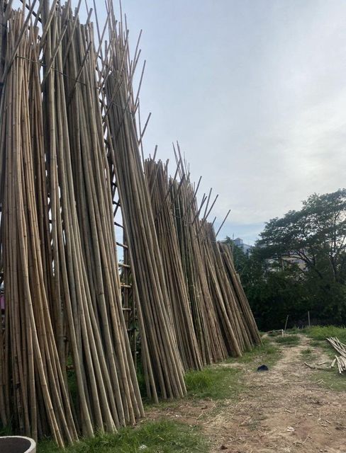 Bamboo Pole - Image 3