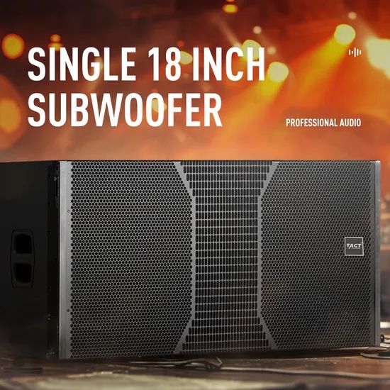 Tact Professional PA Speaker Set Dual-12 Inch Line Array Speaker Systems - Image 4