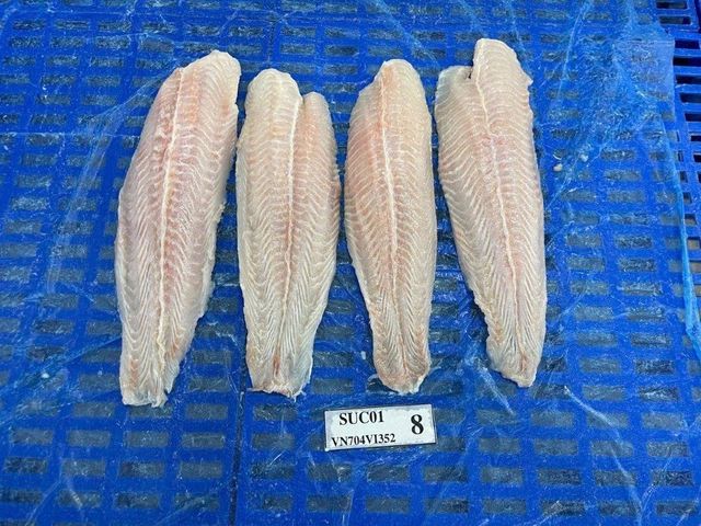 Frozen Pangasius Fillet Form Fillets Shelf Life 24 months Delivery Form Container Place of Origin Dong Thap, Vietnam Net Weight Percentage 100%%, 90%%, 80%% - Image 4