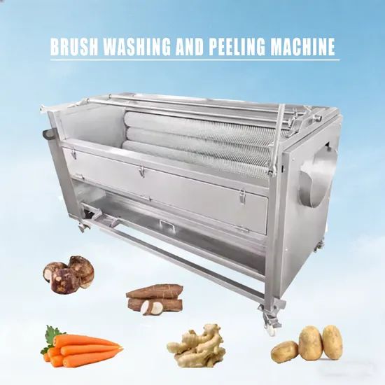 Commercial Vegetable Washer Machine Potato Washing and Peeling Machine - Image 2
