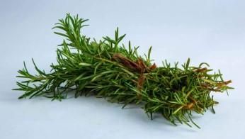 Fresh Herbs : Basil,Chives,Tarragon,Rosemary - Image 3
