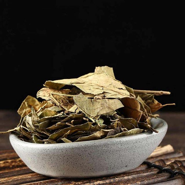 Gymnema sylvestre Leaves, For Herbal Tea, Naturally Dried, India - Image 4