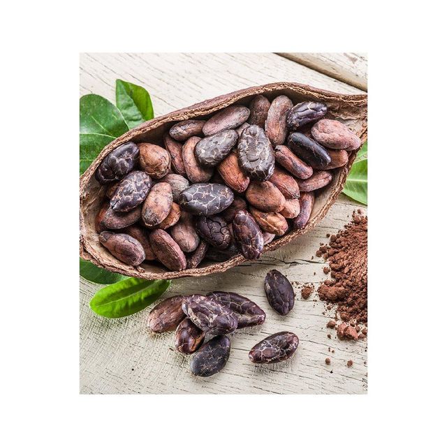 Cocoa beans rich in antioxidants and natural nutrients Export quality cocoa beans packed in durable bags for safe transport Cocoa beans for making dark chocolate milk chocolate and desserts Fine cocoa beans with consistent size and premium grading - Image 4
