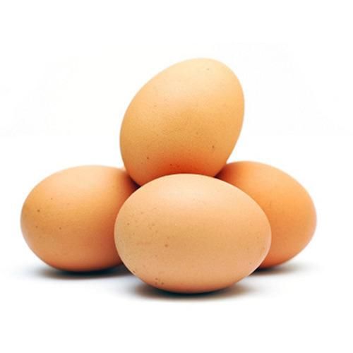 Brown chicken eggs natural laid eggs farm fresh collection wholesale export - Image 4
