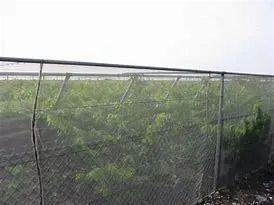 Agricultural Mosquito Anti- Insect Net Insect Protection Net Color White Material PE Trademark WM Origin China Length 10m-100m - Image 5