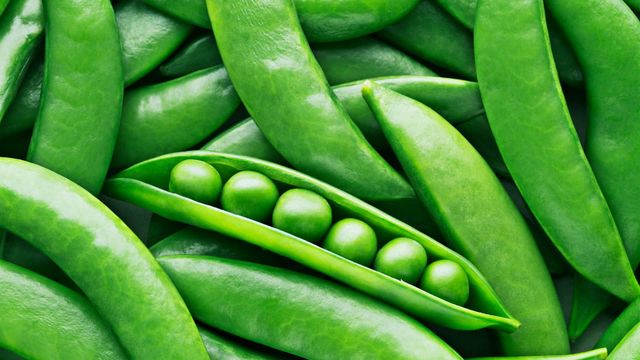 Green Pigeon Peas Best Quality Fresh Whole 100% Natural Best Price Wholesale Hot Selling - Image 3