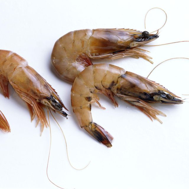 Frozen Tiger Shrimps Carefully Prepared Seafood With Natural Ocean Freshness Excellent Texture And Trusted Distribution - Image 4