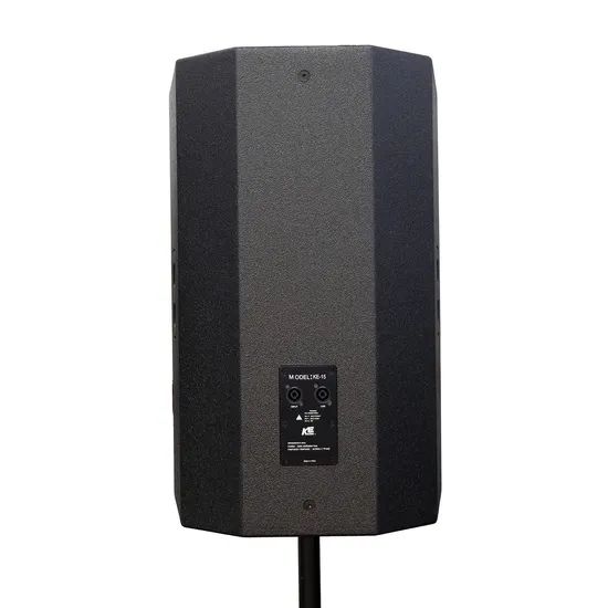 Mono Commercial Ke Audio China PA Speaker Amplifier Professional Loudspeaker with High Quality Ke-15 - Image 3