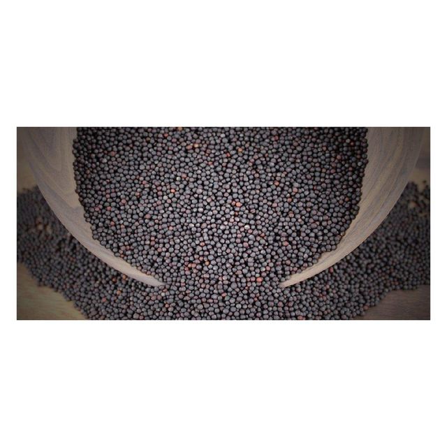 Clean and graded canola seeds offered in wholesale for oil mills and traders - Image 3