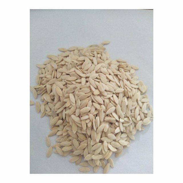 Affordable High Quality Cucumber Seeds for Sale Best Price - Image 3