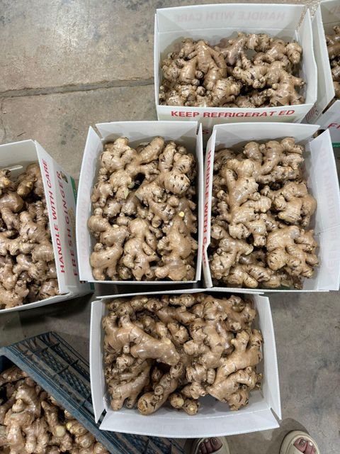 Fresh Ginger Price Per Metric Usd 960.00 / Metric - Image 2