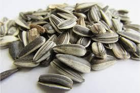 Premium Quality Sunflower Seeds – High Oil Content, Rich in Nutrients, Ideal for Food and Oil Production - Image 4