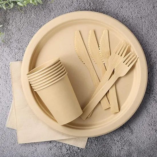 Disposable Bamboo Tableware Set, Bamboo Plate, Spoon, Knife and Fork Set, Picnic Tableware Set. - Image 5