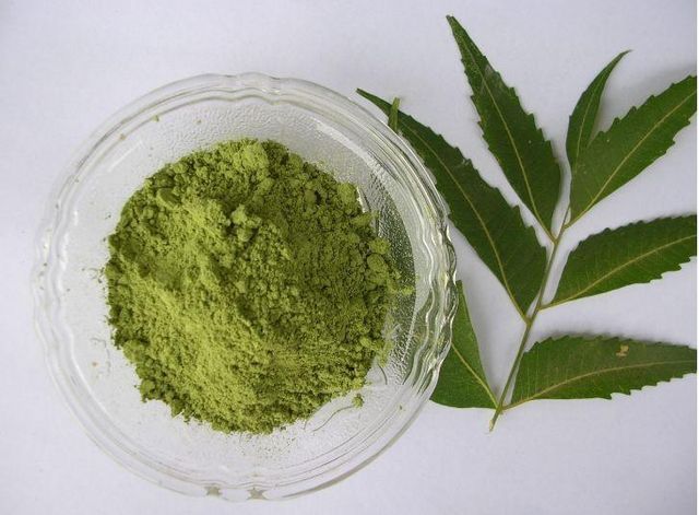 MEDICINAL HERBS Shape Powder Form Shelf Life 24 MONTHS Place of Origin INDIA Ingredients 100% NATURAL Cultivation Type NATURAL - Image 4